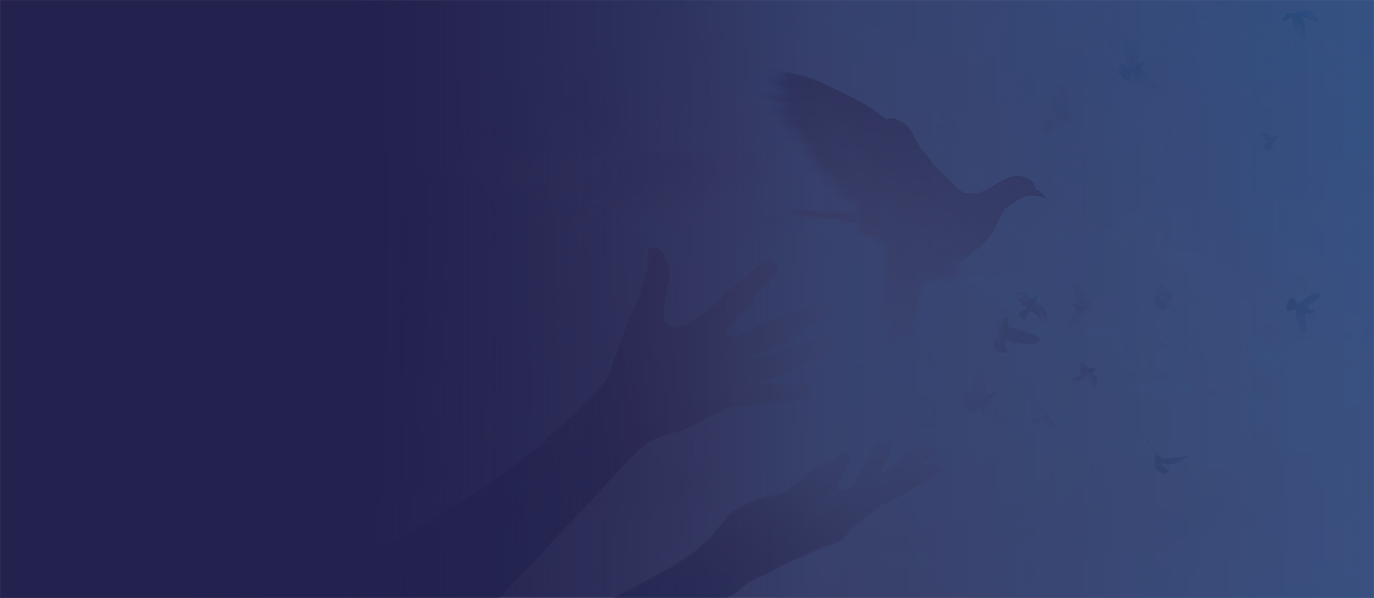 Erase Criminal Record | Liberated